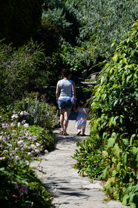 Rear view of people walking on footpath amidst plants