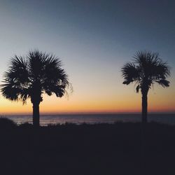 Silhouette palm trees on beach against sky during sunset