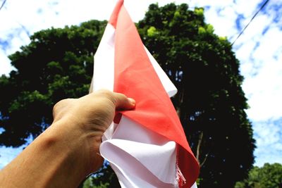 Close-up of hand holding flag against trees