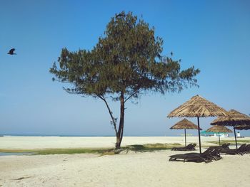 Scenic view of beach against clear sky