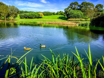 Scenic view of lake against sky