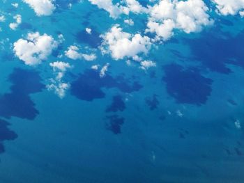 View of jellyfish swimming in sea