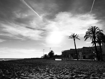 Palm trees on beach against sky during sunset