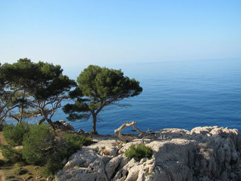 Scenic view of sea against clear sky