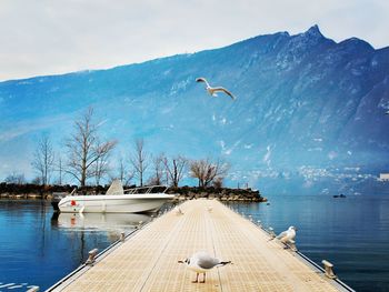 Scenic view of boat by pier in lake