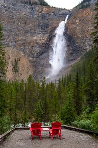 Scenic view of waterfall in forest