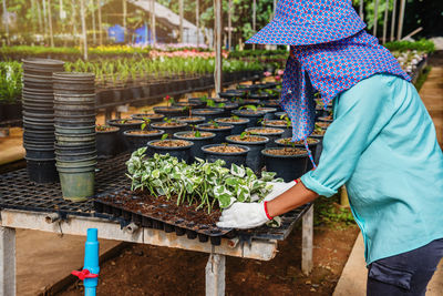 Rear view of woman standing by potted plants