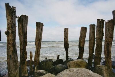 Wooden posts and rocks at beach