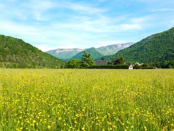 View of rural landscape with mountains in background