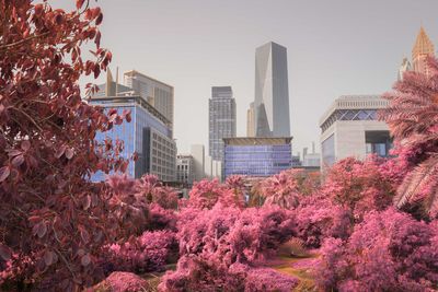 Infrared photo of dubai skyline with peacock on the foreground