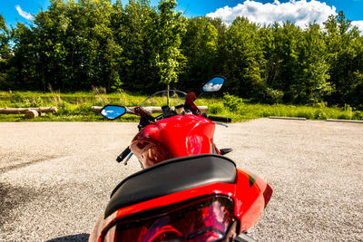 Rear view of man with bicycle on road against trees