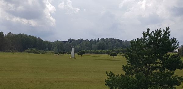 Panoramic shot of trees on field against sky