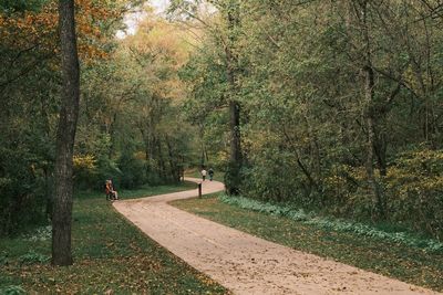 Trees in park
