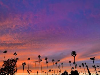 Low angle view of silhouette palm trees against dramatic sky