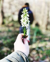 Close-up of hand holding plant