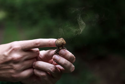 Close-up of hands holding mushroom