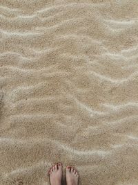 Low section of woman standing on sand at beach