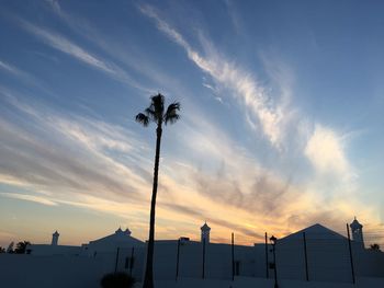 Low angle view of silhouette palm trees against sky