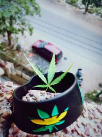 High angle view of potted plant on table