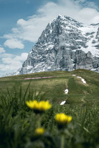 Scenic view of snowcapped field against sky