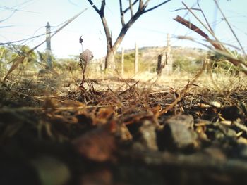 Surface level of land against sky