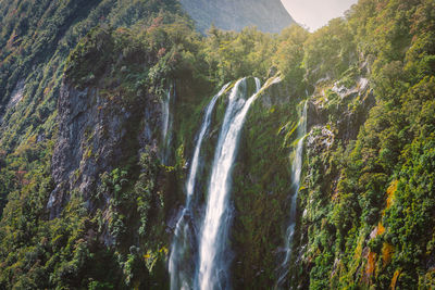 Scenic view of waterfall in forest