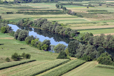 Scenic view of agricultural field