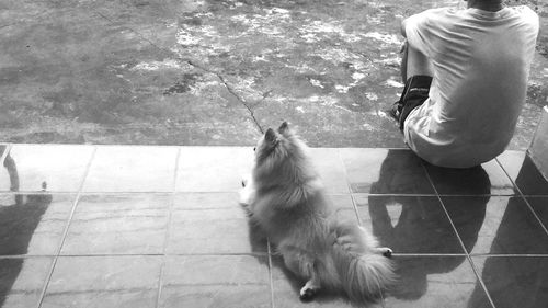 Low section of man sitting by dog relaxing on tiled floor