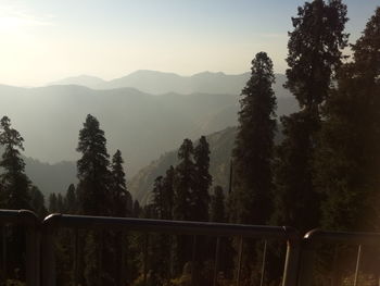 Trees on mountain against clear sky