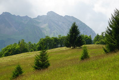 Scenic view of field and mountains against sky