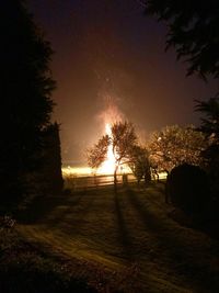 Silhouette trees on field against sky at sunset