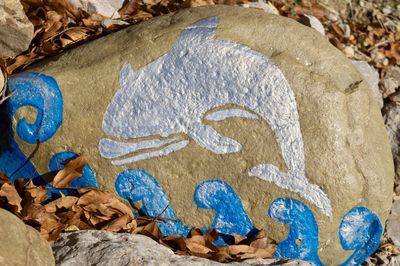 Close-up of birds on rock