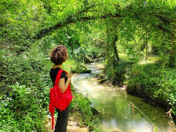 Rear view of man walking on footpath in forest