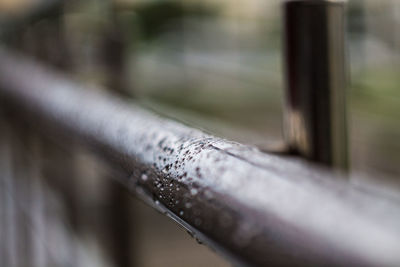 Close-up of metal railing against window