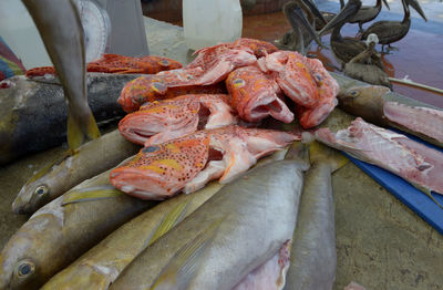 Close-up of fish for sale at market