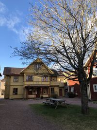 Bare tree and buildings against sky