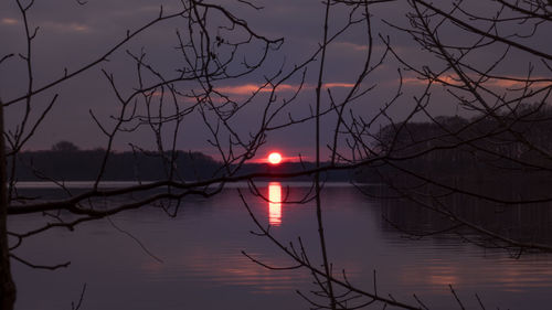 Silhouette bare tree by lake against sky during sunset