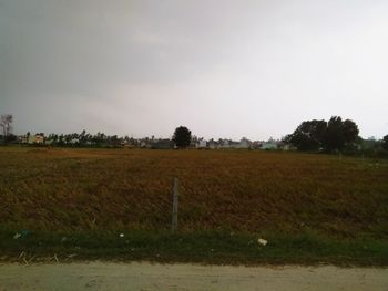 Scenic view of field against sky