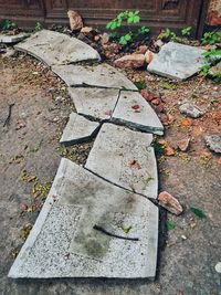 High angle view of leaves at cemetery