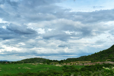 Scenic view of field against sky