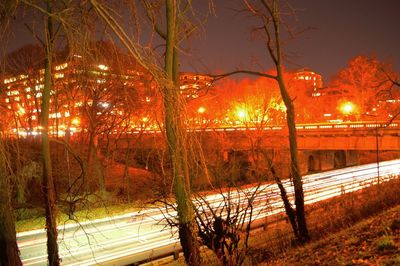 Illuminated trees and fence at night