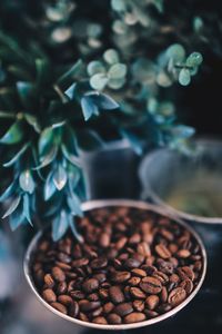 Close-up of coffee beans