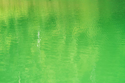 Green ripple light green lake water with blurry reflections.