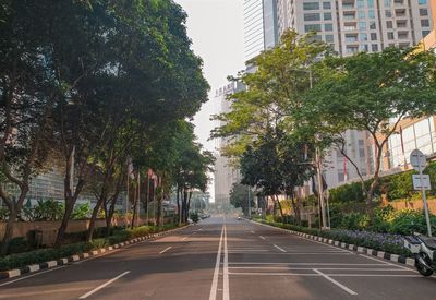 Road amidst trees and buildings in city