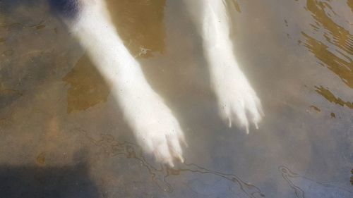 High angle view of wet sand on beach