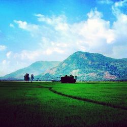 Scenic view of grassy field against cloudy sky
