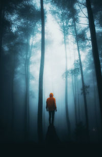 Rear view of person standing by trees in forest