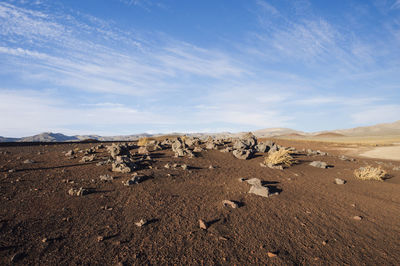 Dry barren landscape near the fossil falls trailhead late afternoon