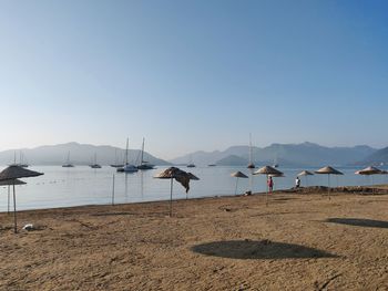 Scenic view of beach against clear sky