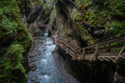 River amidst trees in forest